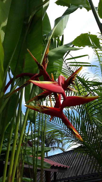 Bed and Breakfast Les Fleurs House Khao Lak Pokoj fotografie