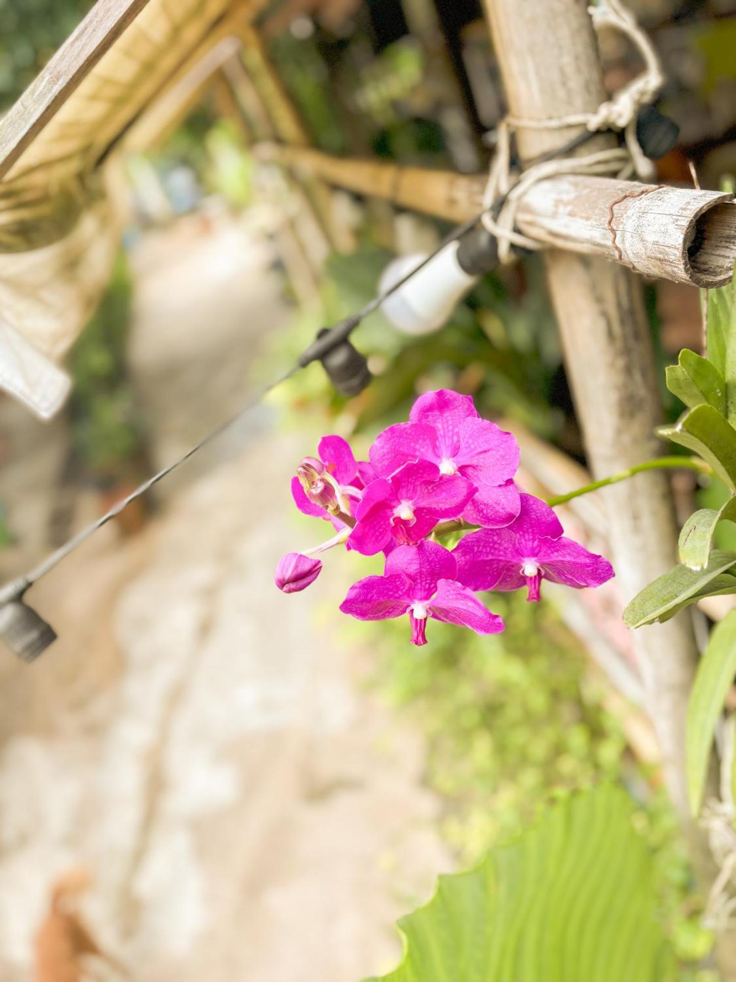 Bed and Breakfast Les Fleurs House Khao Lak Exteriér fotografie