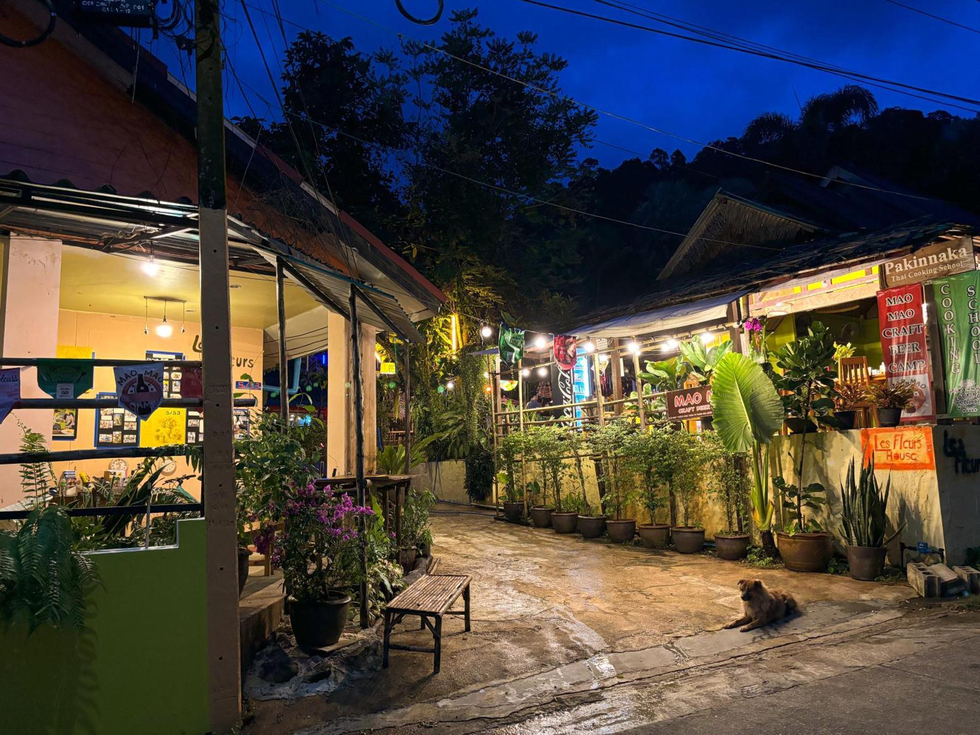 Bed and Breakfast Les Fleurs House Khao Lak Exteriér fotografie