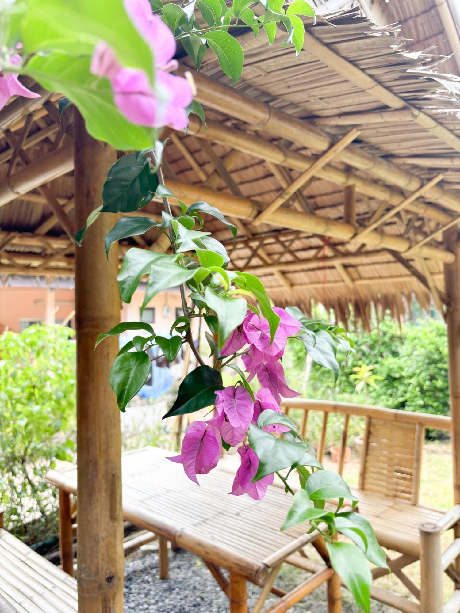 Bed and Breakfast Les Fleurs House Khao Lak Exteriér fotografie